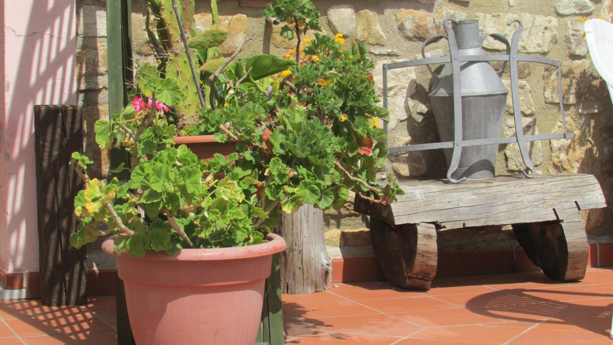 Farm stay Capuano *